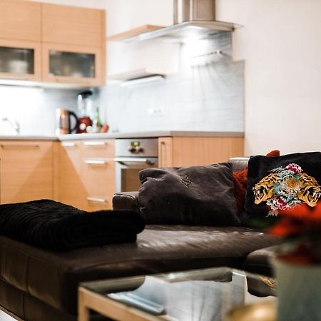 Silvie Apartments - Hejcin オロモウツ エクステリア 写真